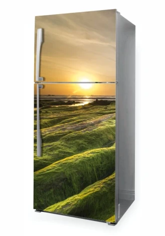 Fridge wrap sticker coastal design P1075 - Features green sea plants and a sunset.