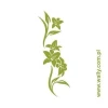 Elegant floral sticker in shades of green, perfect for refreshing a modern interior.