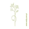 Elegant floral sticker in a minimalist style, perfect for decorating modern interiors.