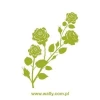 Elegant rose-themed sticker in green, perfect for brightening up a modern interior.