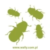 Stylish green beetle sticker, perfect for enlivening a modern interior.