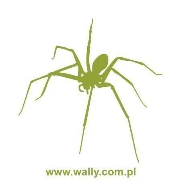 Stylish spider sticker in a soft green shade, perfect for decorating a child\'s room.