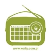 Stylish green radio sticker 1058, perfect for modern interiors, adding character.