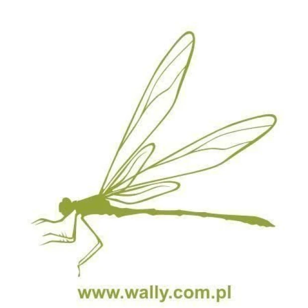 Stylish dragonfly sticker 1061 in a soft green shade, perfect for minimalist interiors.