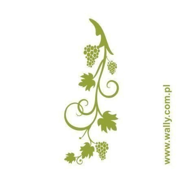 Elegant vine sticker 0996 in shades of green, perfect for a stylish eco-friendly interior.