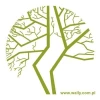 Stylish green tree sticker 1137, perfect for modern interiors, adding a touch of energy.