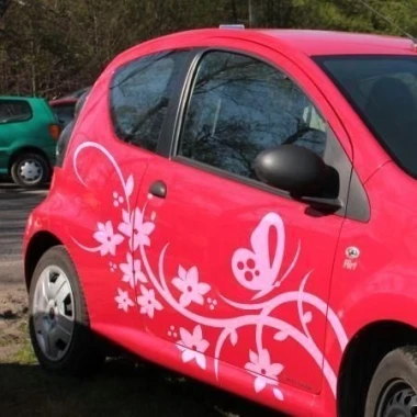 Flower sticker 0898 in soft pink shades, perfect for decorating a modern car.