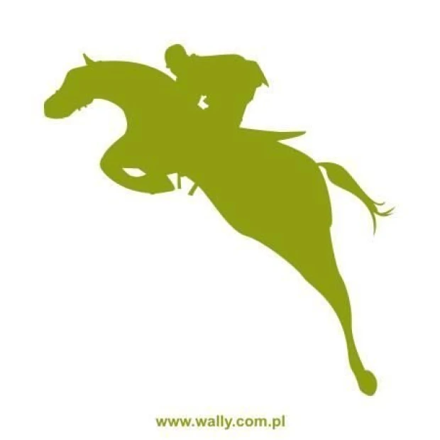 Rider sticker 1158 in vibrant green, perfect for a modern youth room.