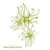 Elegant flower sticker 1200, perfect for modern interiors, adding freshness and lightness to any space.