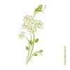 Flower butterfly sticker in a soft green shade, perfect for a stylish Scandinavian interior.