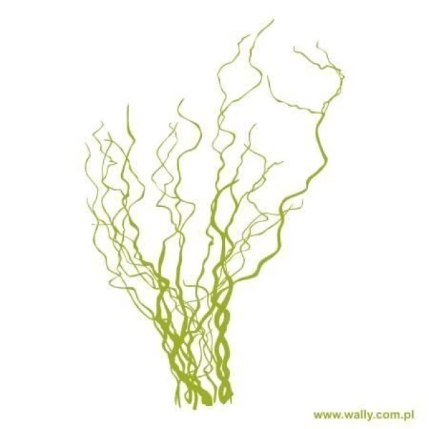 Delicate green willow sticker, perfect for modern interiors, adding a touch of lightness.