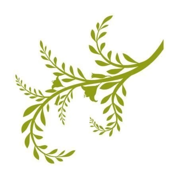 Elegant branch sticker 1296 in a fresh green shade, perfect for minimalist home decor.