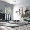 Branch sticker 0941 in a modern living room, adding freshness and natural charm to a minimalist space.