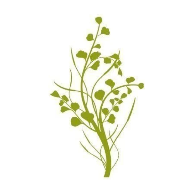 Tree sticker 1294 in a fresh green shade, perfect for modern interiors, adding a touch of lightness.