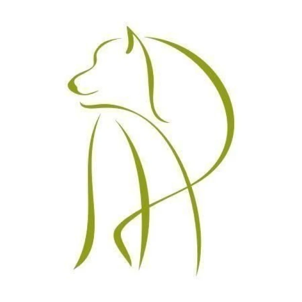 Elegant painting template featuring a dog in a modern style, perfect for children\'s decor.
