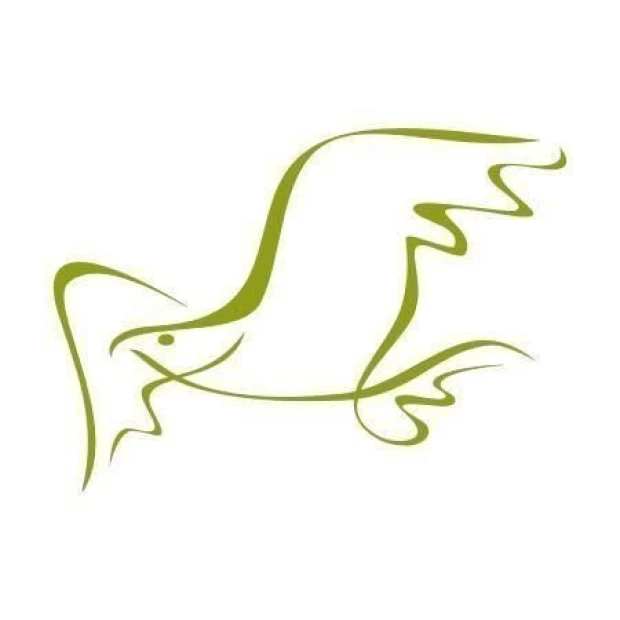 Elegant falcon sticker 1281 in a minimalist style, perfect for a modern interior.