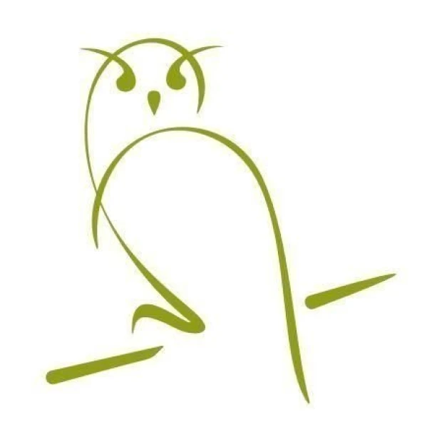Stylish owl sticker 1265 in soft green shades, perfect for a modern children\'s room.