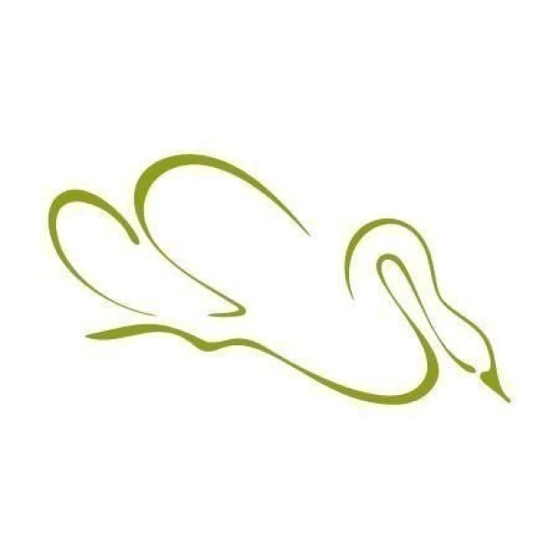 Elegant Swan 1283 painting template in minimalist style, perfect for modern interiors.