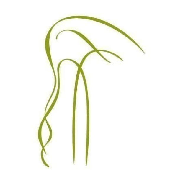 Elegant pelican painting template 1271, perfect for modern interiors, adds lightness and harmony.