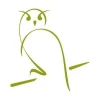 Owl painting stencil 1265 in soft green shades, perfect for decorating a modern room.