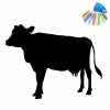 Chalkboard cow sticker 354 - Black cow shape with colorful chalks in the corner.