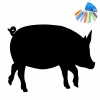 Chalk sticker pig 353 - Graphic design. Black pig silhouette with colorful chalks in the top corner.