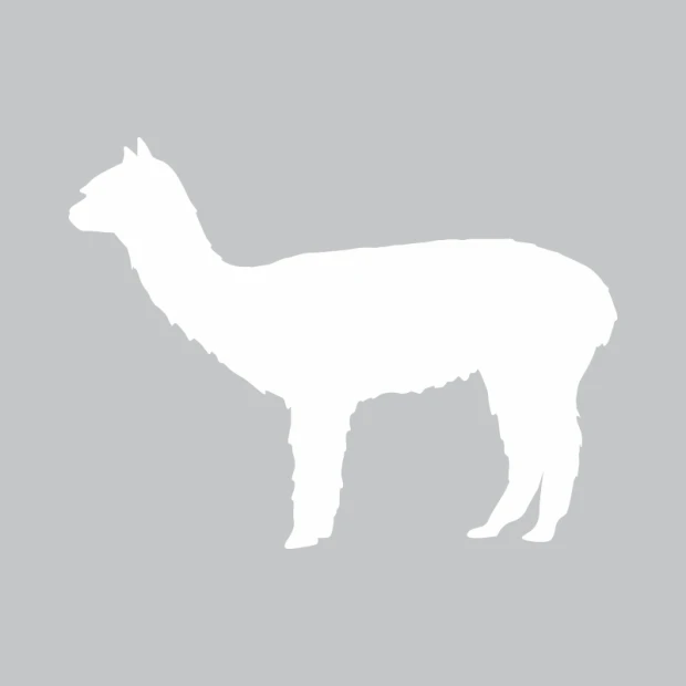 Alpaca dry-erase board 300 - Features a gray alpaca silhouette on a white background.