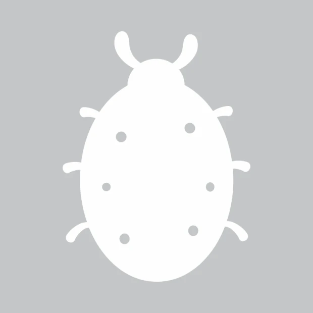 Ladybug dry-erase board 222 - Graphic design featuring a ladybug shape with round dots on a background.