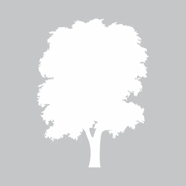 Dry-erase board tree 302 - Graphic design. Tree shape with clear contours and leaves.