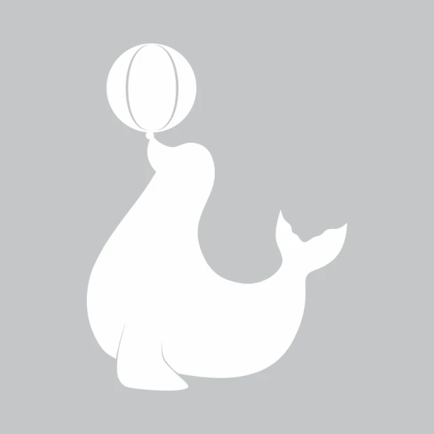 Seal-shaped whiteboard 305 - Graphic design with a round head and wavy body.