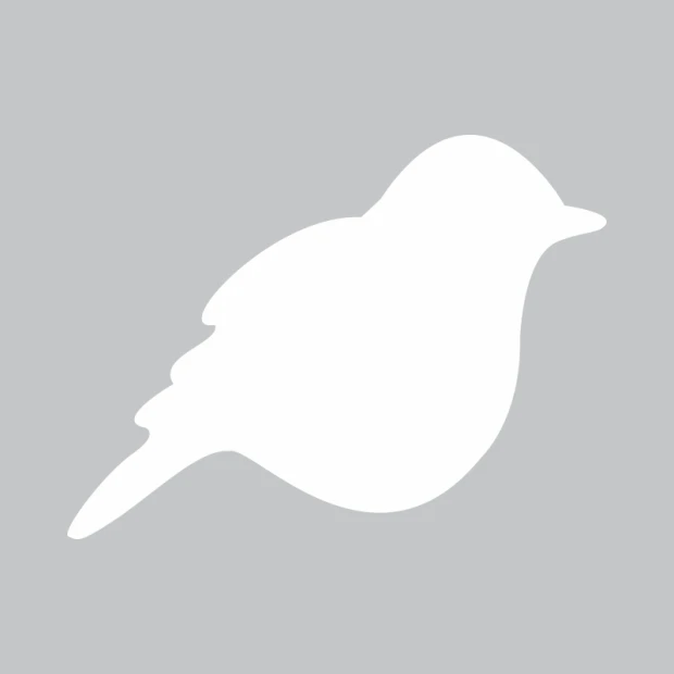 Bird-shaped white dry-erase board 229 - Graphic design on a gray background.