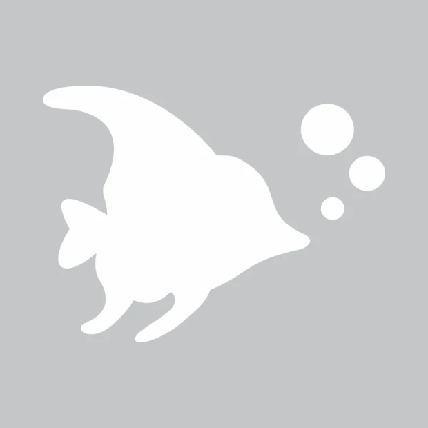 Fish-shaped whiteboard 223 - Graphic design with circular elements in various sizes.