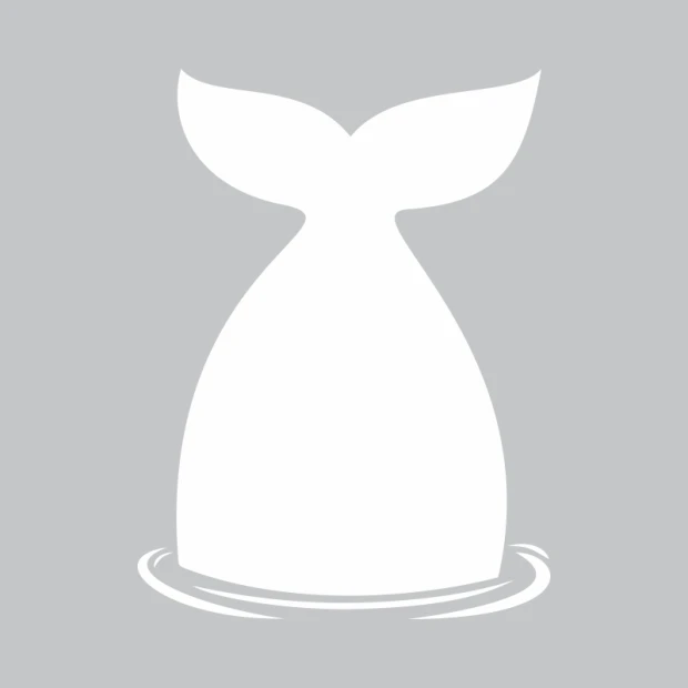 Whale-shaped dry-erase board 291 - Features a design of a whale\'s tail in water.