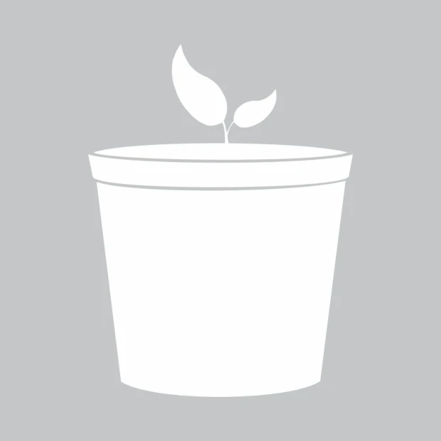 White dry-erase board with a leaf-shaped pot design on a gray background.
