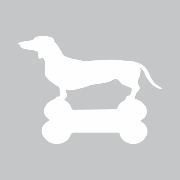 Dachshund bone dry-erase board 328 - Graphic design featuring a dachshund shape on a white background with bone elements.