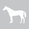 Dry-erase board horse 330 - Graphic design featuring a white horse silhouette on a gray background.