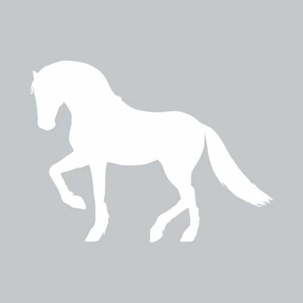 Dry-erase board horse 331 - Graphic design featuring a silhouette of a horse in motion.