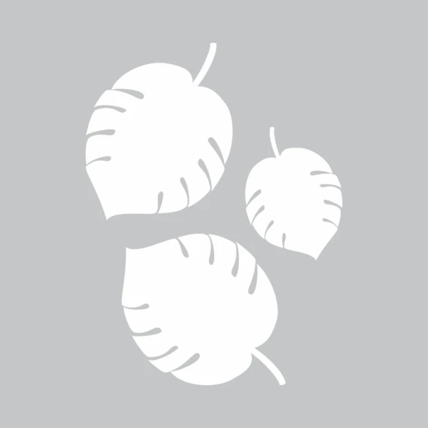 Monstera dry-erase board 320 - Graphic design featuring three leaves in different shapes and sizes.