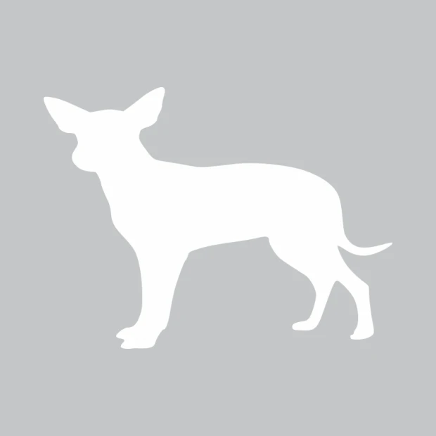 Dry-erase board dog 356 - Graphic design featuring a white dog silhouette on a gray background.