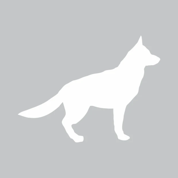 Dry-erase board dog 357 - Graphic design featuring a white dog silhouette on a gray background.