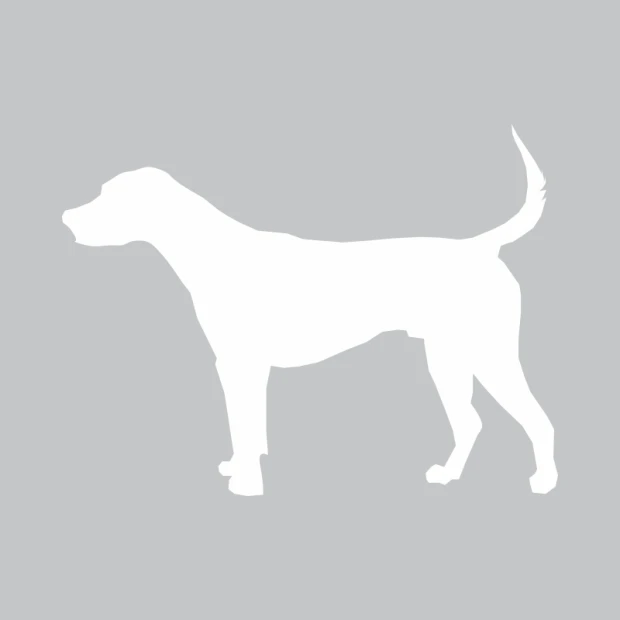 Dry-erase board dog 358 - Graphic design featuring a white dog silhouette on a gray background.