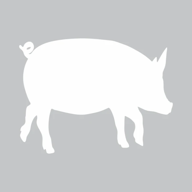 Pig-shaped dry-erase board 353 - Graphic design with simple contours.