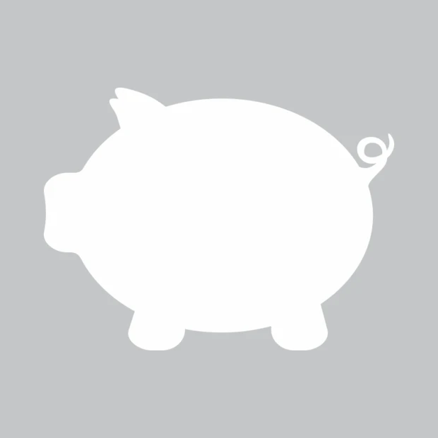 Piggy bank dry-erase board 306 - Pig shape with coin slot, smooth surface.