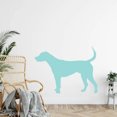 Dry-erase board dog 358 - Styled in a room with light walls, wooden floor, and potted plants.