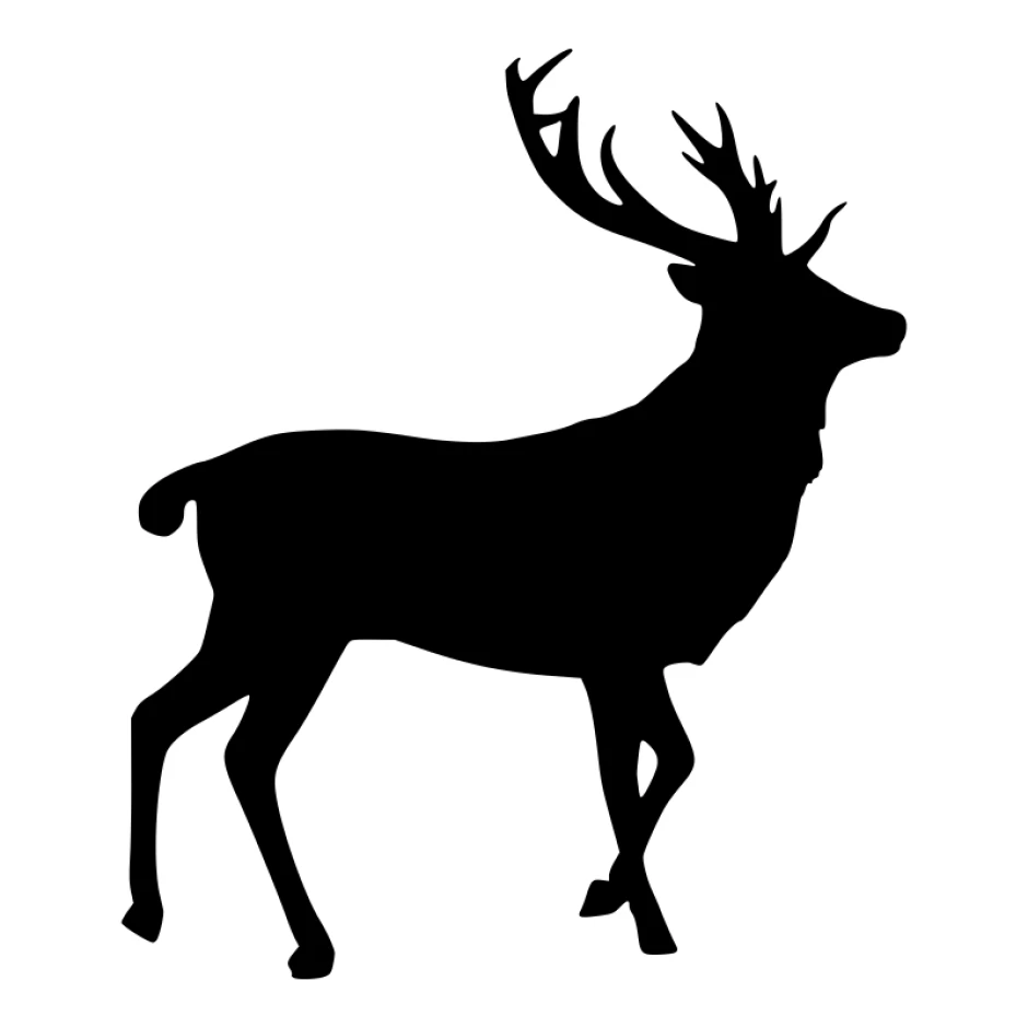 Wall sticker deer 2483 - Graphic design. Silhouette of a deer with wide antlers on a white background.