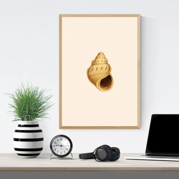 Shell poster 088 - Graphic design featuring a brown shell on a light background with clear details and a spiral shape.