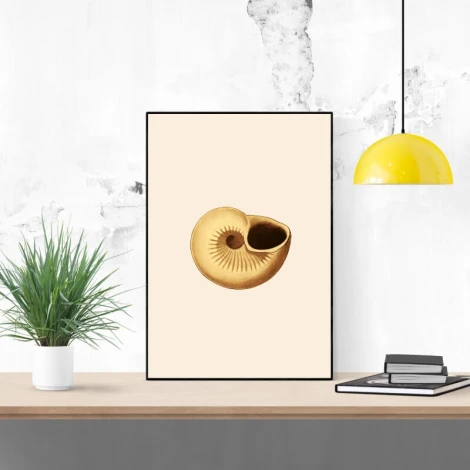 Seashell poster 089 - Graphic design featuring a brown seashell on a light background with clear spiral shapes.