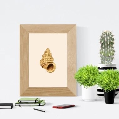 Shell poster 091 - Graphic design. Brown shell on a light background with clear details and texture.
