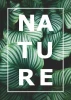 Nature 048 poster - Graphic design featuring green leaves with white stripes and a large "NATURE" text.