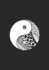 Yin Yang Poster 057 - Graphic design featuring the yin yang symbol with diverse black and white patterns.